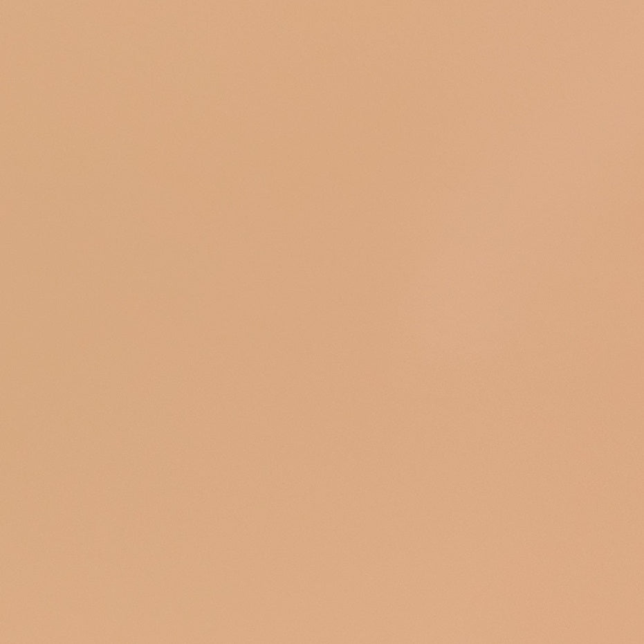 Creamsicle Automotive Aerosol Spray Paint ROBO0345 66 Auto Color