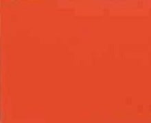 Load image into Gallery viewer, Big Bad Orange - Automotive Aerosol Spray Paint
