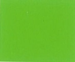 Gecko Green - Automotive Aerosol Spray Paint