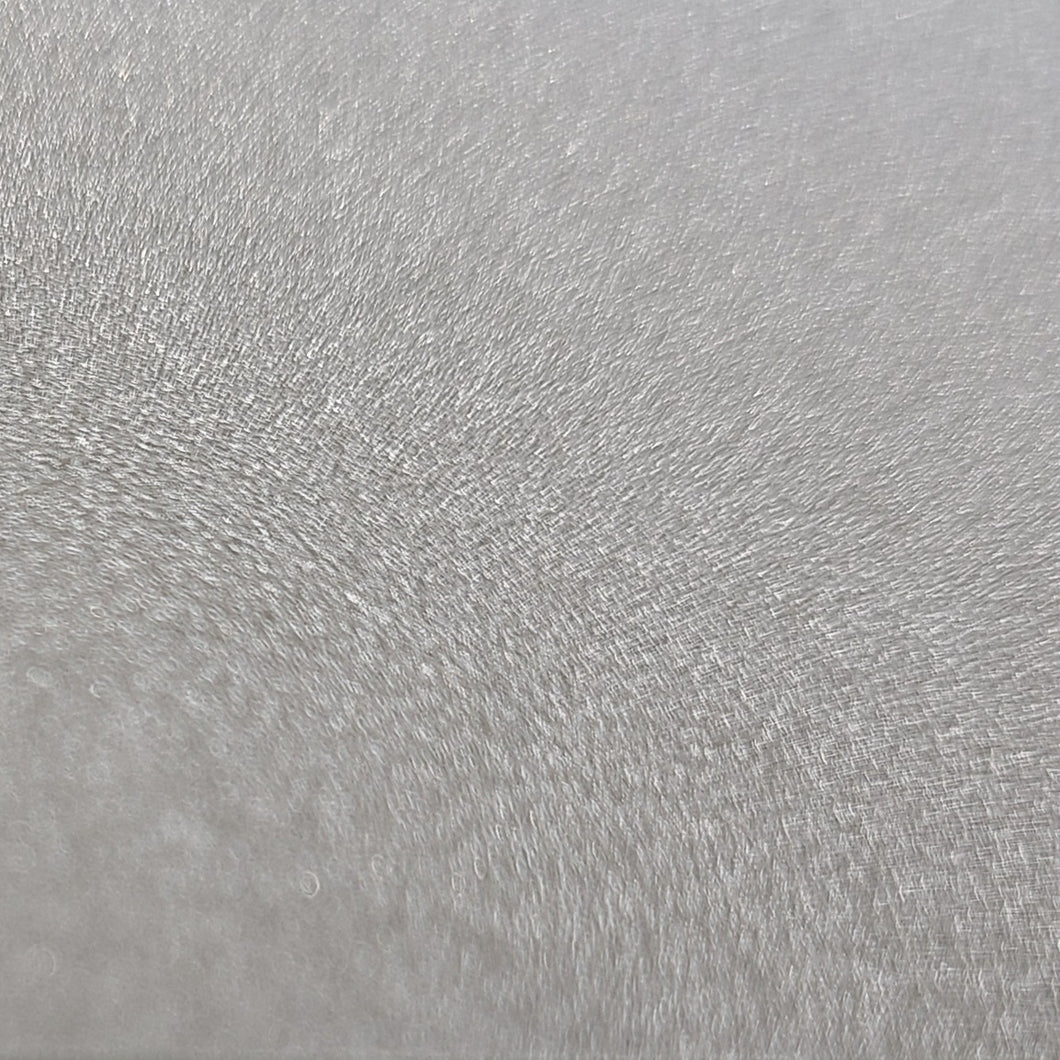 Radiant Silver - Automotive Aerosol Spray Paint