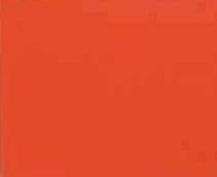 Big Bad Orange - Automotive Aerosol Spray Paint - SPM-2194 – 66