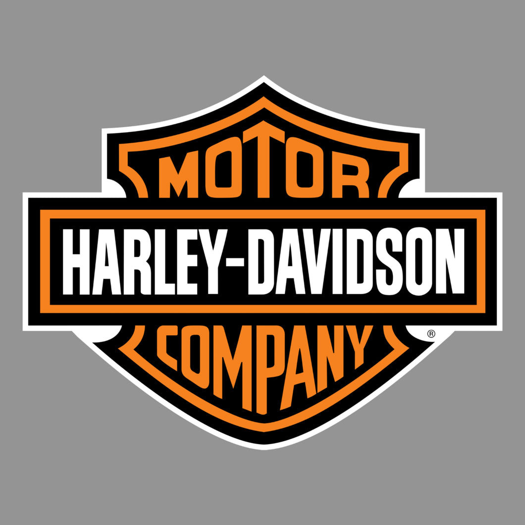 Harley Davidson Motorcycle Gray/Silver Aerosol Paint - 1K Basecoat