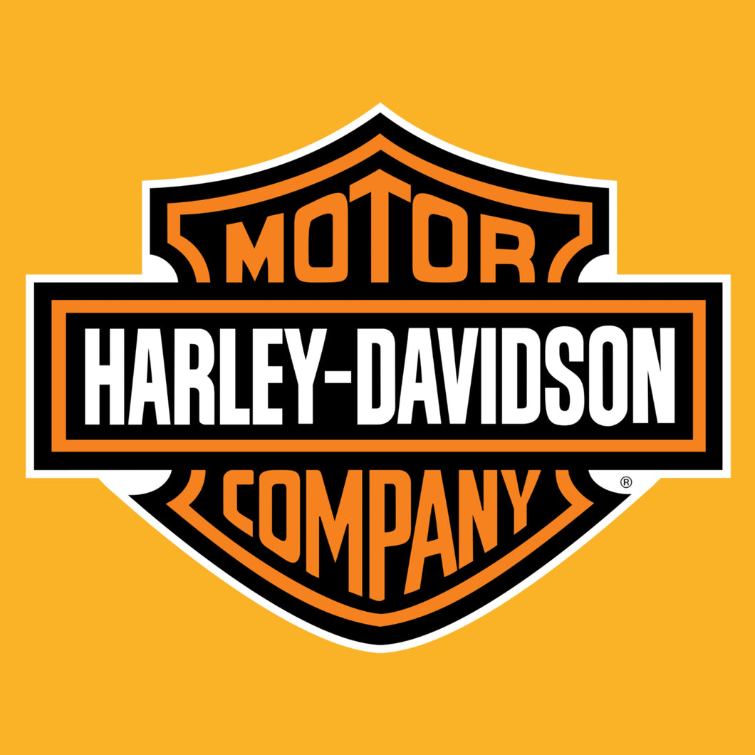 Harley Davidson Motorcycle Orange Aerosol Paint - 1K Basecoat